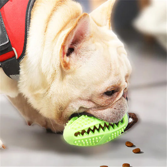 Chew 'n' Roll Delight